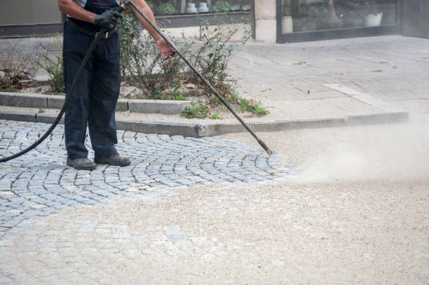 Best Driveway Pressure Washing  in Alturas, CA